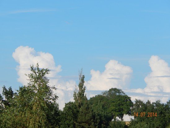 Zajíčkov