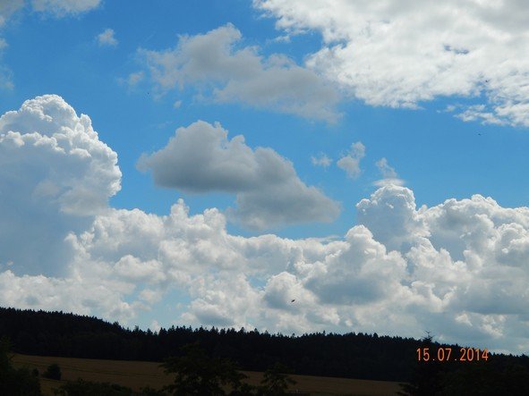 Zajíčkov