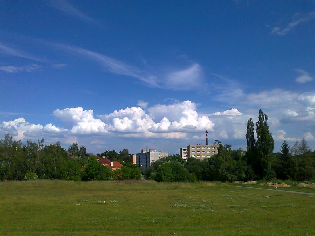 Borovina