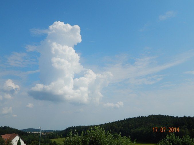 Zajíčkov