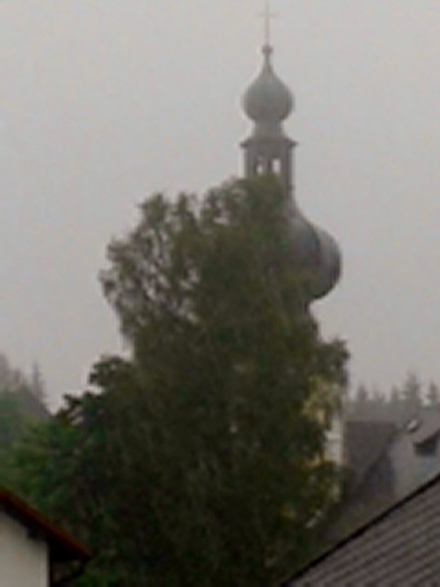 Srní