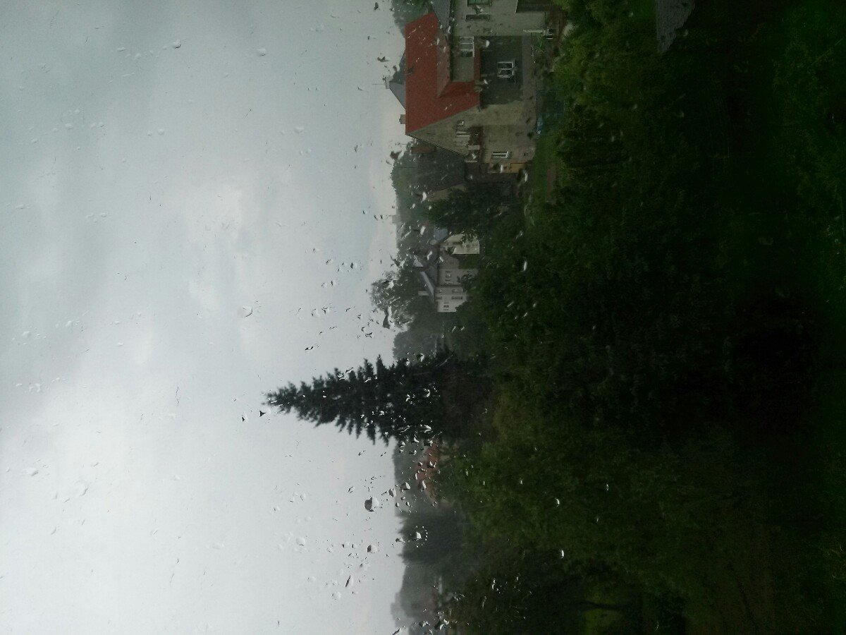 Ostarva
