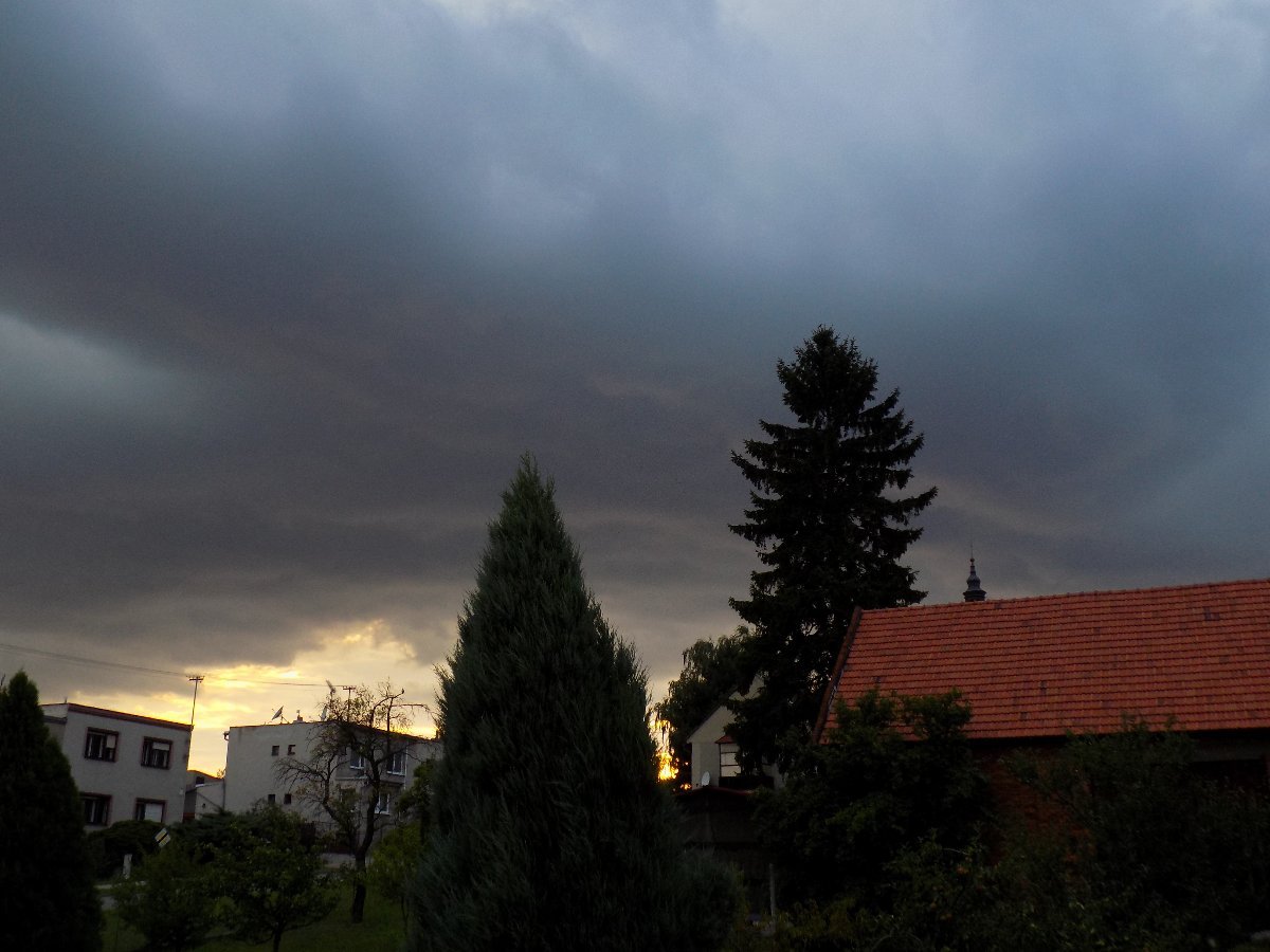 Kvasice