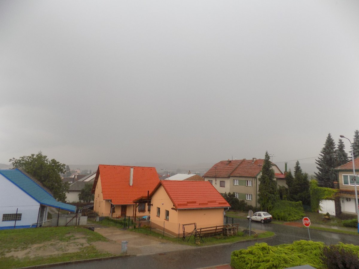 Kvasice