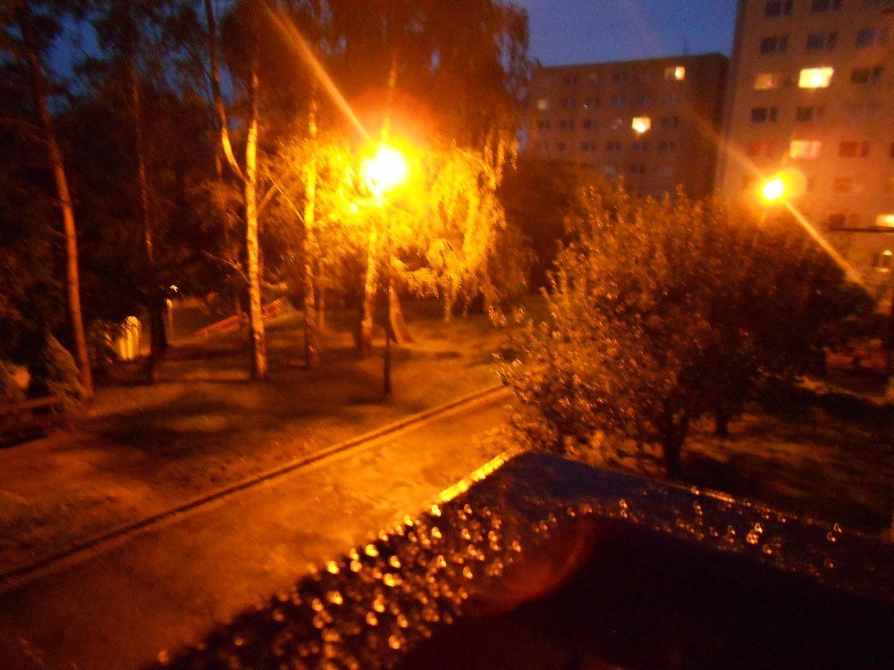 Borovina