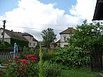 Třibřichy
