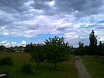 Borovina