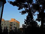 Borovina