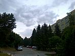 Borovina