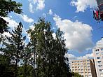 Borovina