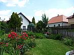 Třibřichy