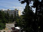 Borovina