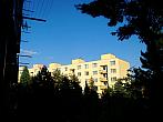 Borovina