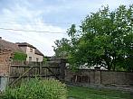 Třibřichy