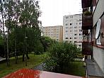 Borovina