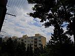 Borovina