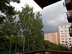 Borovina