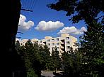 Borovina