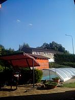 Světice