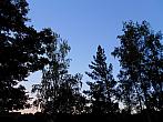 Borovina