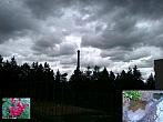 Borovina