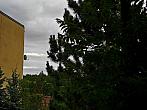 Borovina