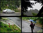 Borovina