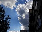 Borovina