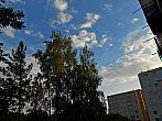 Borovina