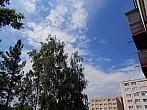 Borovina