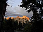 Borovina
