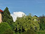 Třibřichy