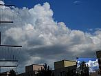Borovina