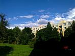 Borovina
