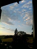 Králíky