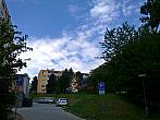 Borovina