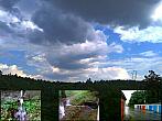 Borovina