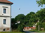 Třibřichy