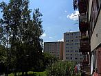 Borovina