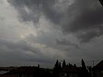 Kvasice