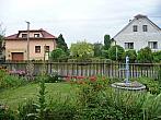 Třibřichy