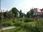 Třibřichy