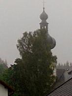 Srní