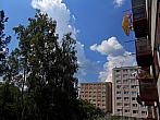 Borovina