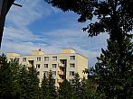 Borovina