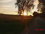 Zajíčkov