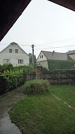 Třibřichy