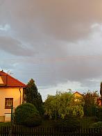 Třibřichy