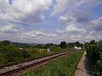 Borovina