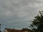 Třibřichy